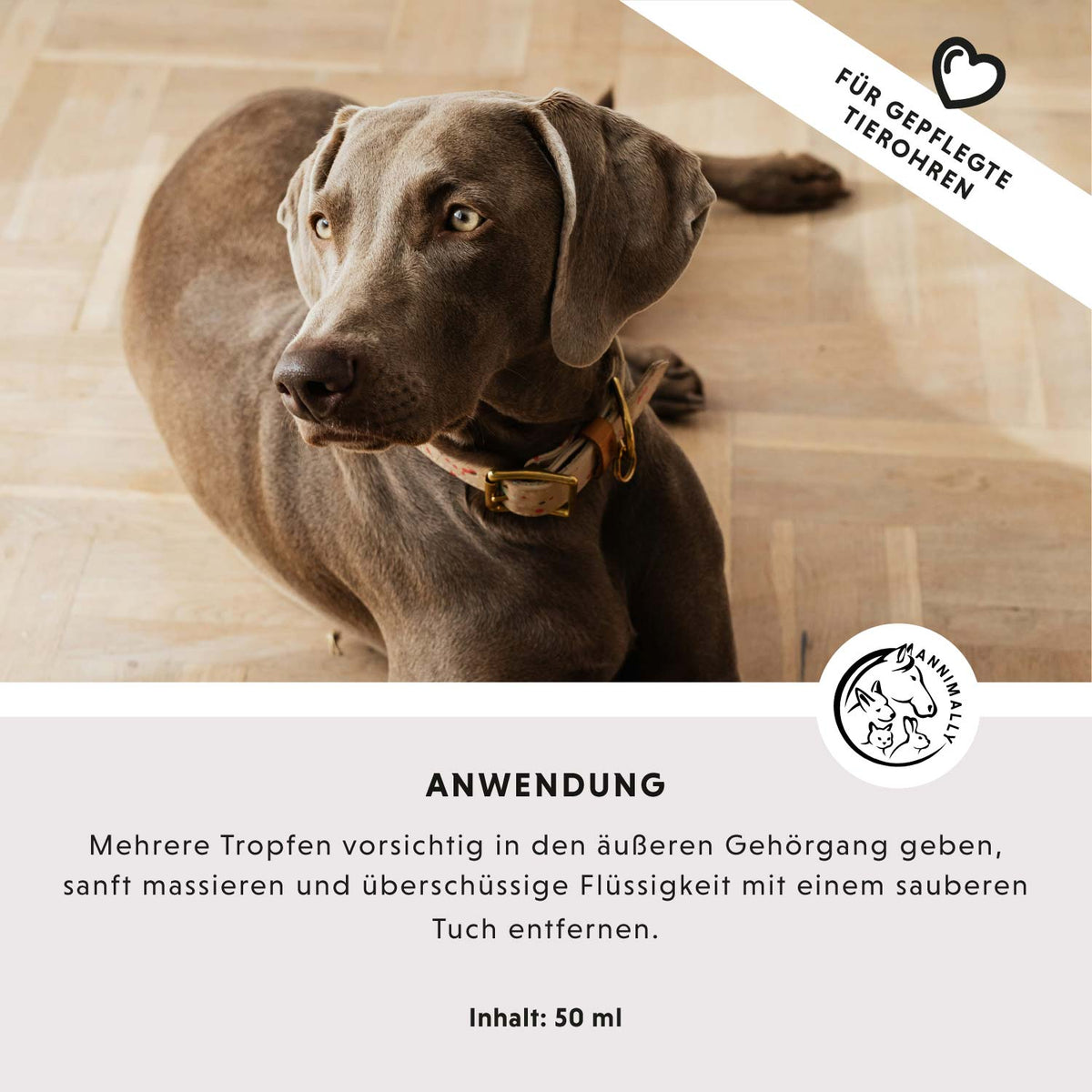 Pflegeprodukt für Hunde: Ohrenpflege mit kolloidalem Silber 50 ppm