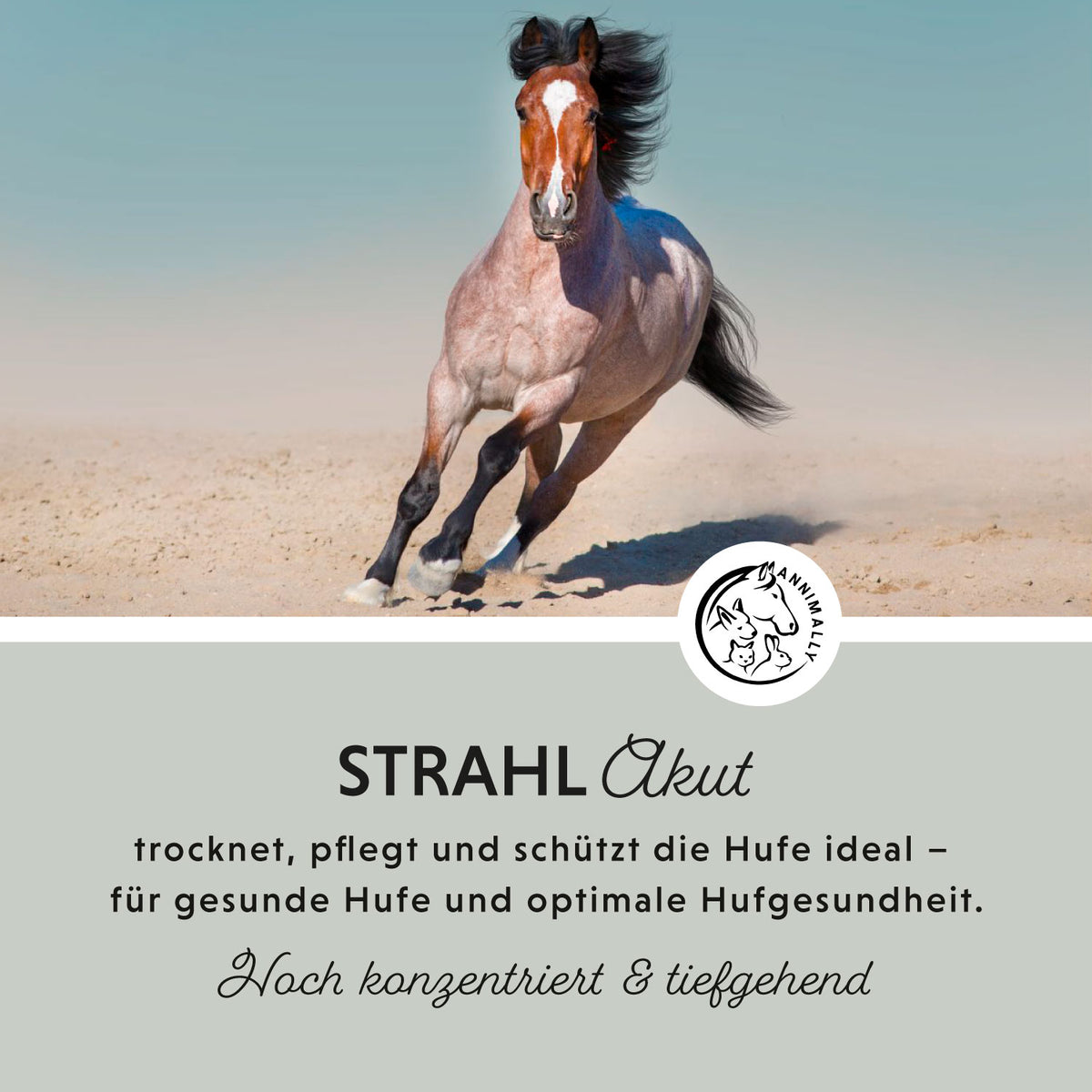 Strahl Akut für einen gesunden Hufstrahl – Tierpflege für Pferde