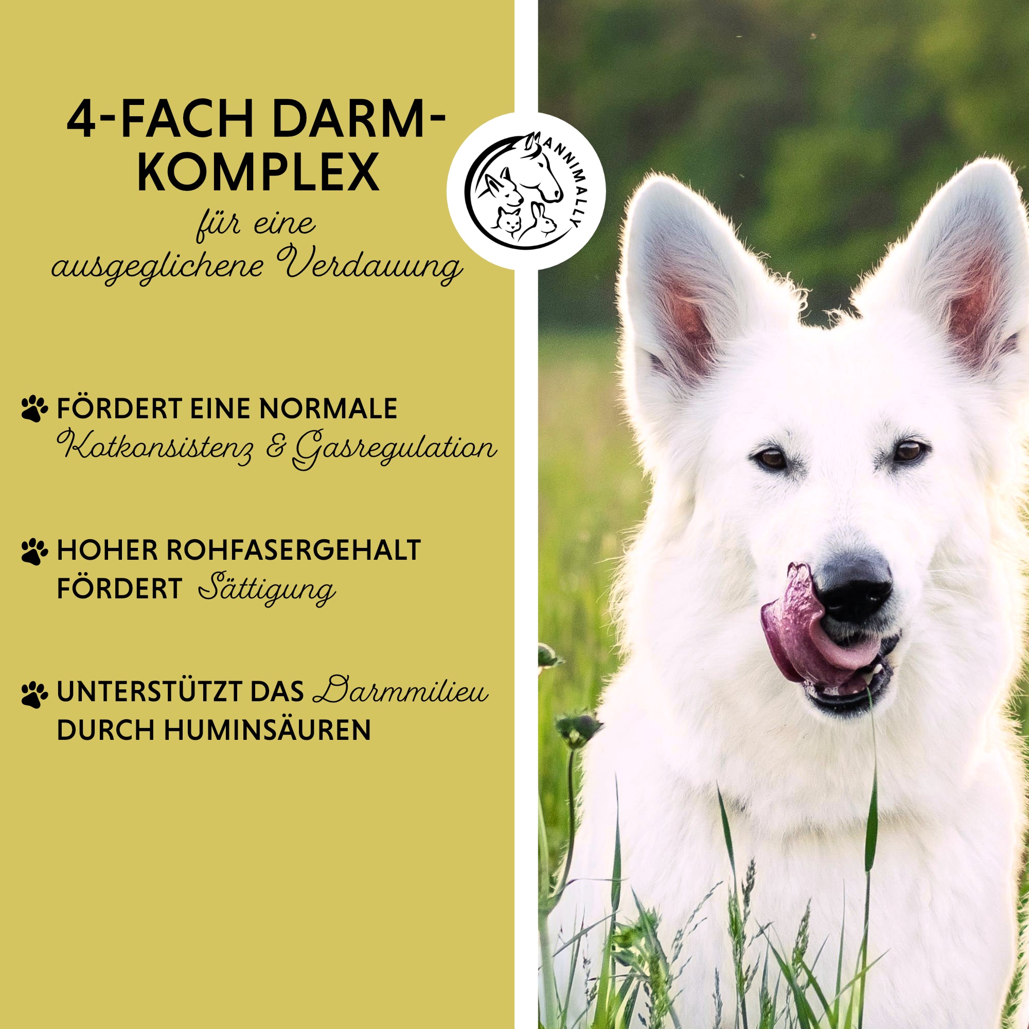 Gras- & Kotfresser Tabletten