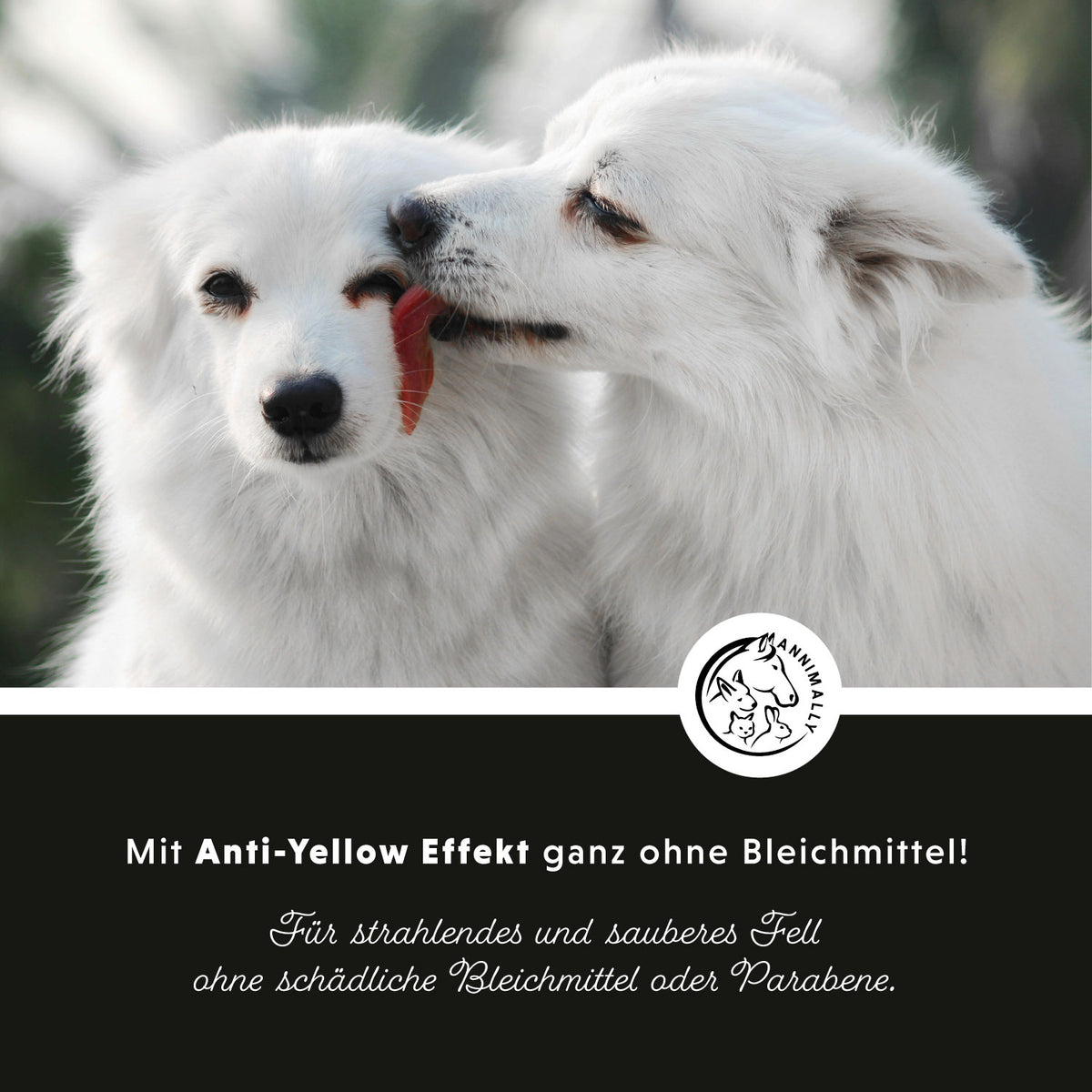 Tierpflege für Hunde: White Plus Conditioner für weißes & helles Fell