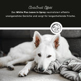 White Plus Leave-In Spray