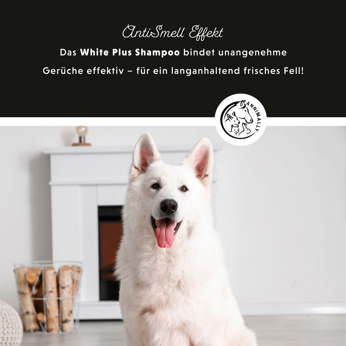 White Plus Shampoo für weißes & helles Fell – Pflegeprodukt für Hunde