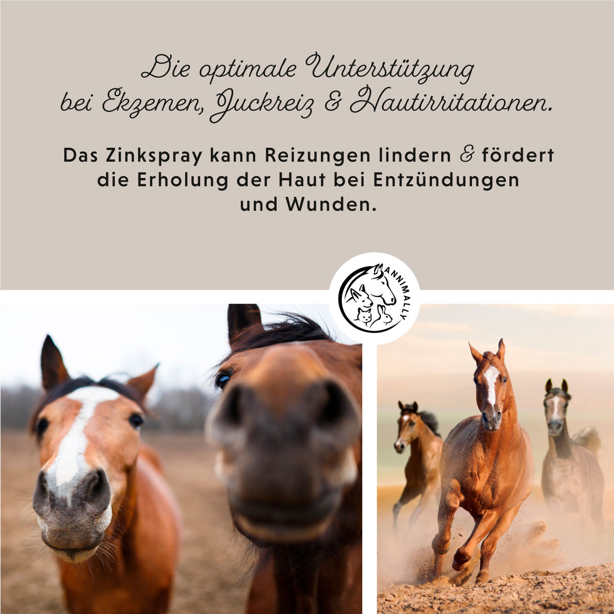 Zinkspray Plus für Pferde – natürliche Pflege für Haut & Hufe | Annimally