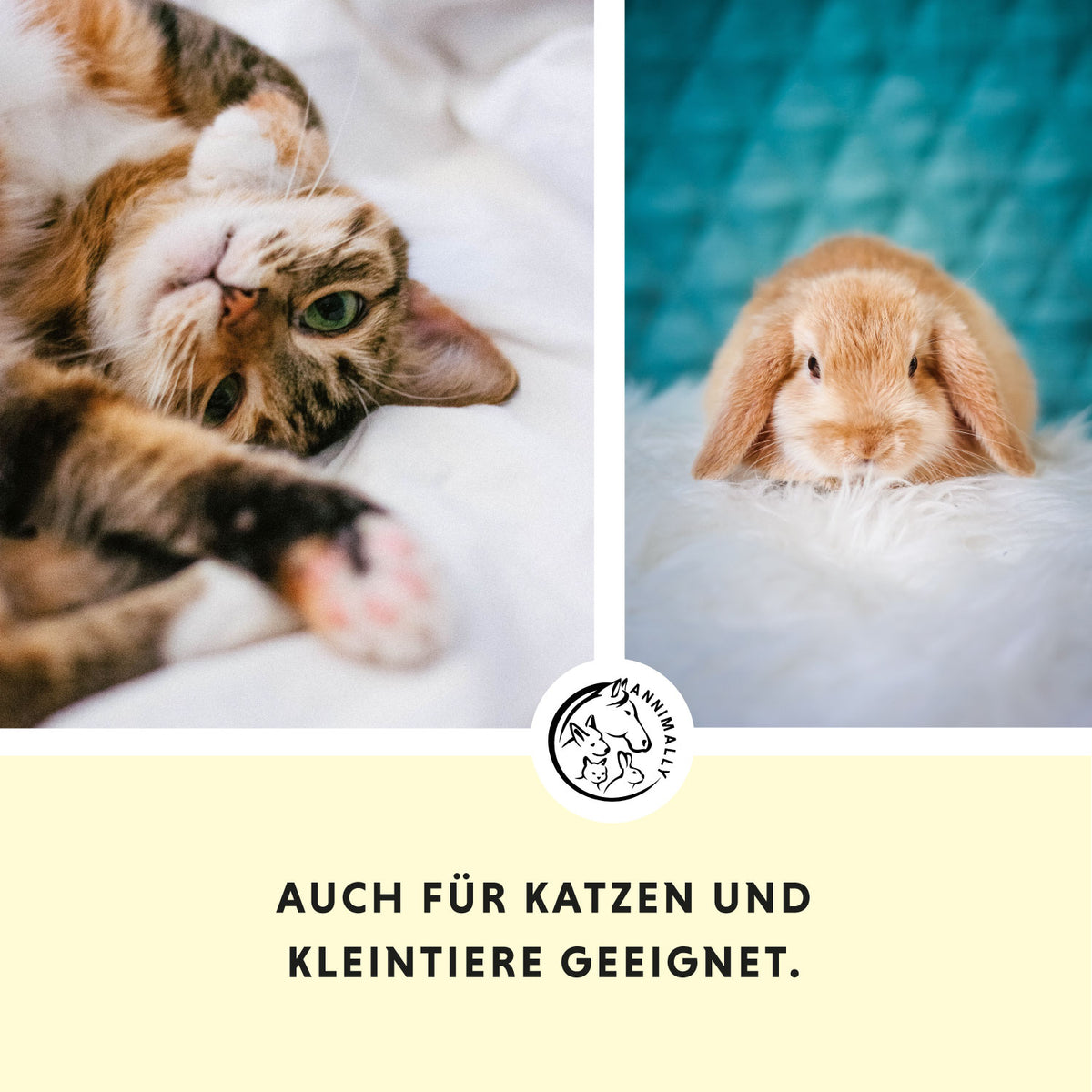 Bierhefe Tabletten von Annimally für gesunde Haut & glänzendes Fell – Futterergänzung für Hunde, Katzen & Kleintiere