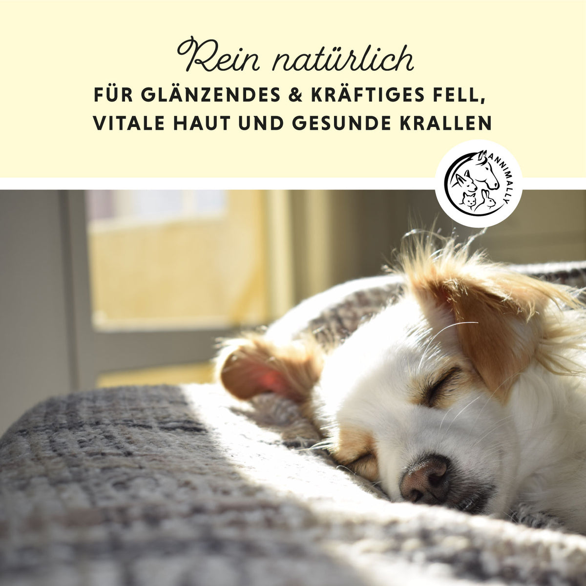 Bierhefe Tabletten für gesunde Haut & glänzendes Fell – Futterzusatz für Hunde, Katzen & Kleintiere