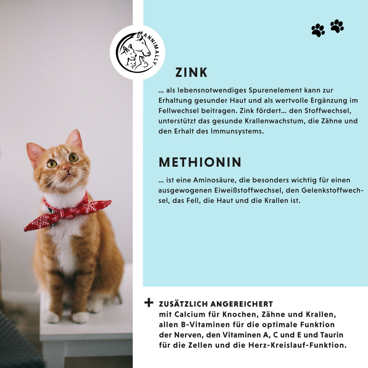 Futterzusatz für Hunde & Katzen: Haut & Fell Pulver
