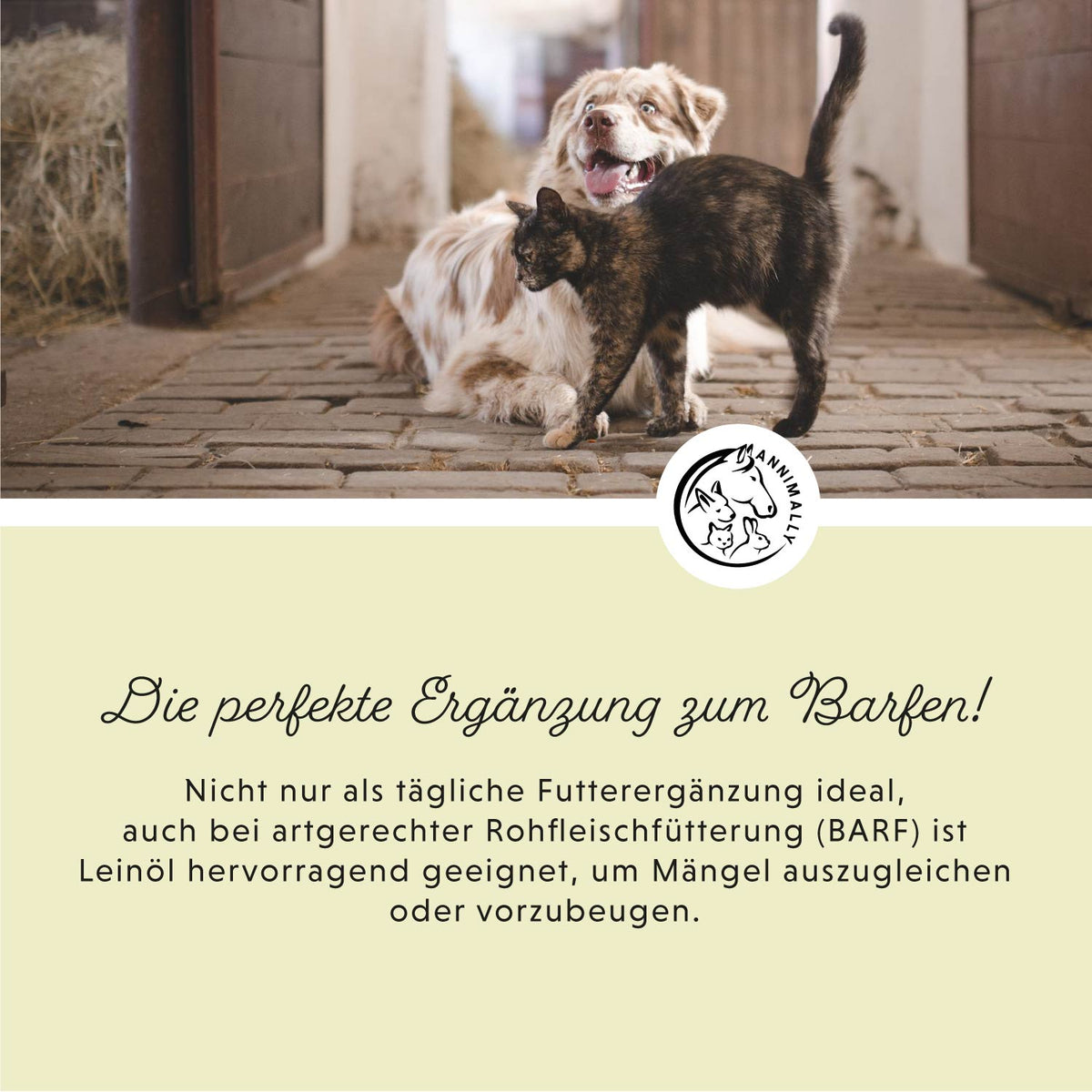 Futterzusatz für Hunde & Katzen: Leinöl kaltgepresst mit Omega-3