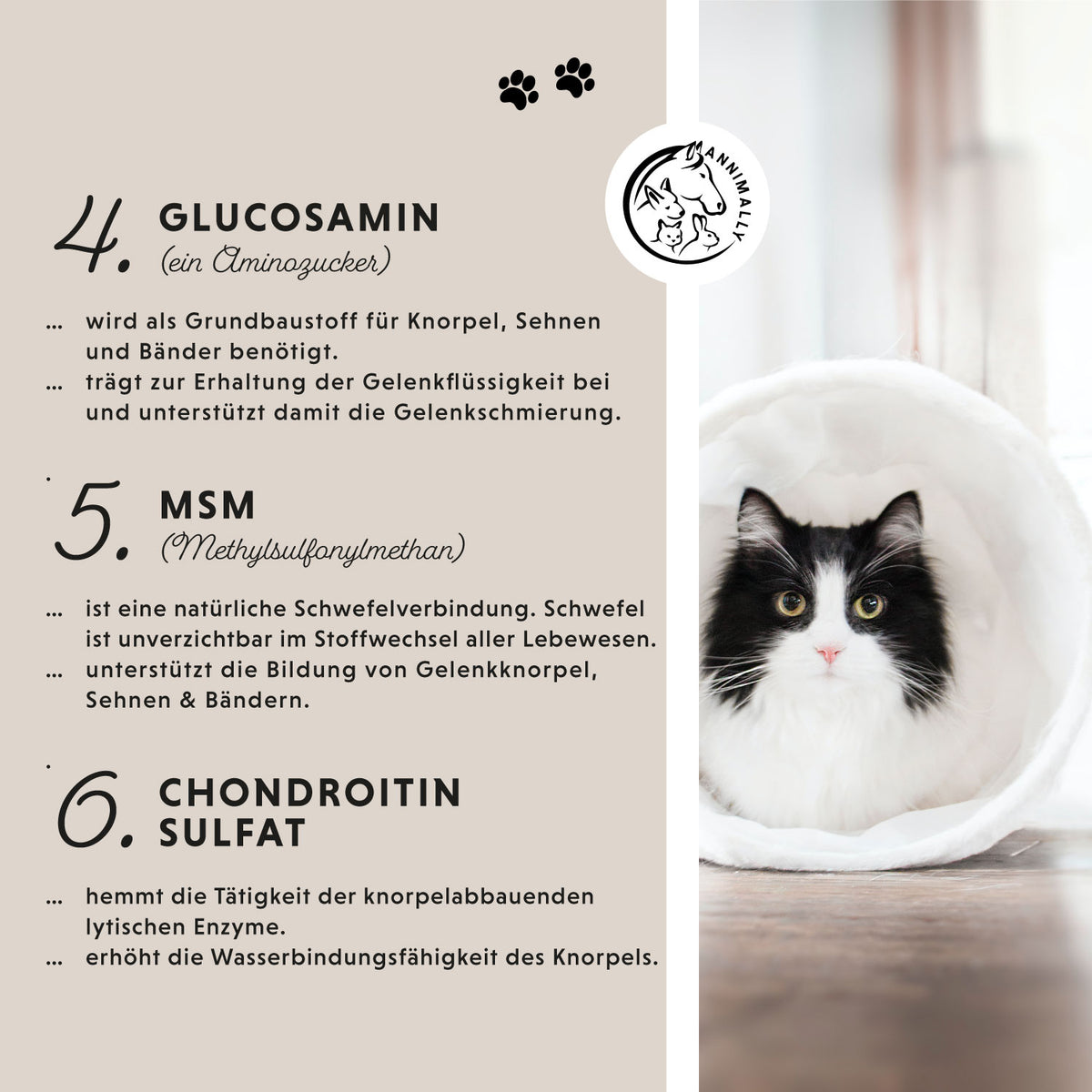 Gelenk Komplex für Katzen – Futterergänzung | Annimally