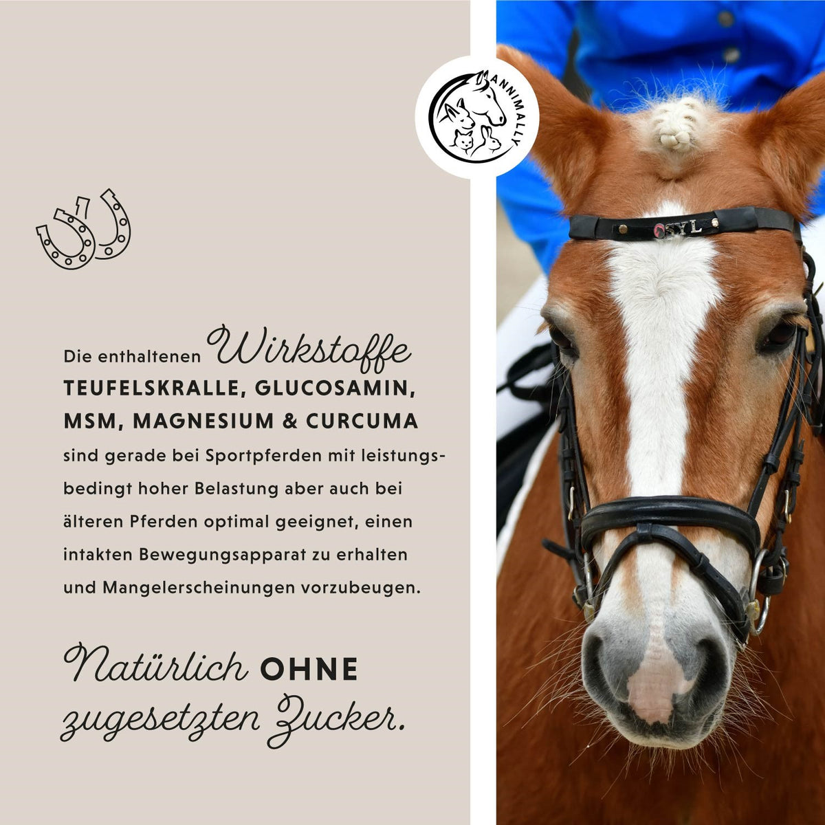 Gelenk Liquid für Pferde – Futterergänzung | Annimally