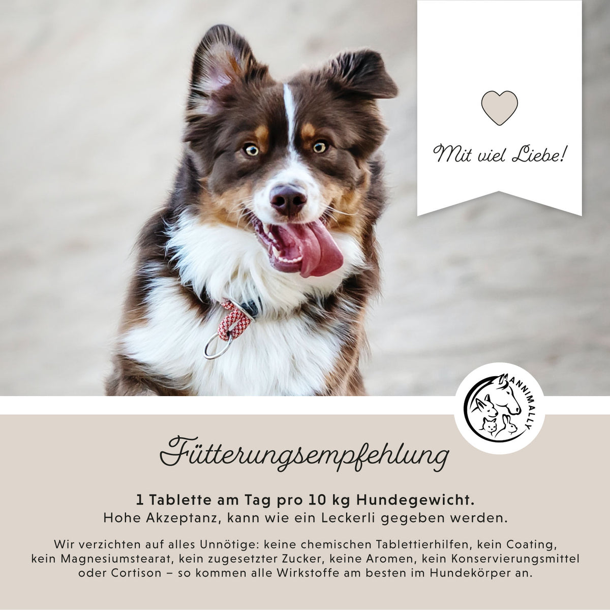Gelenktabletten – Futterzusatz für Hunde – Ansicht 2