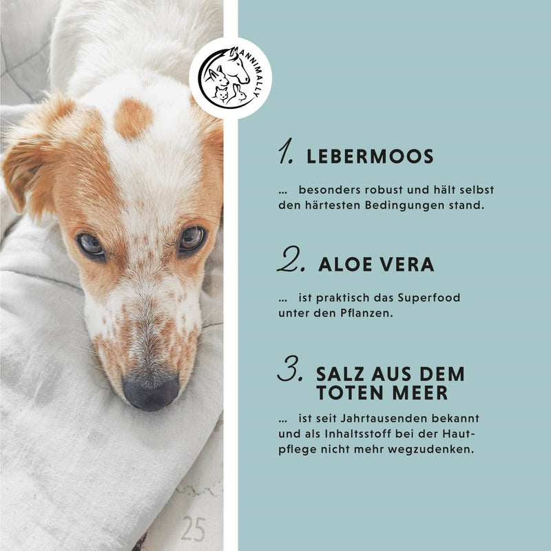 Skin Care Pro