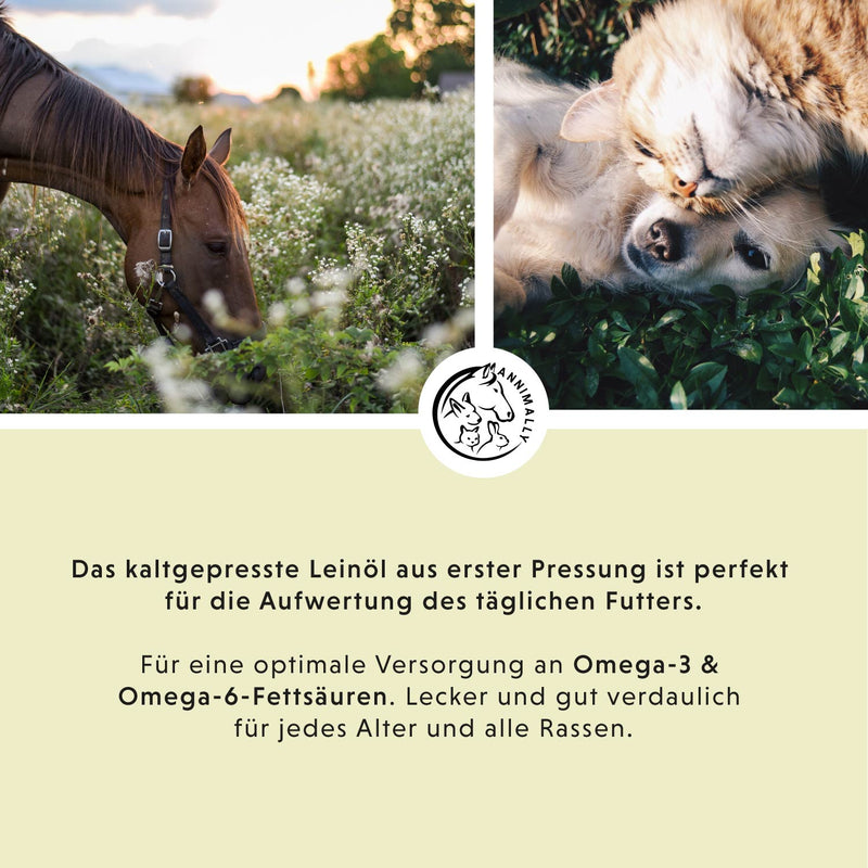 Leinöl
