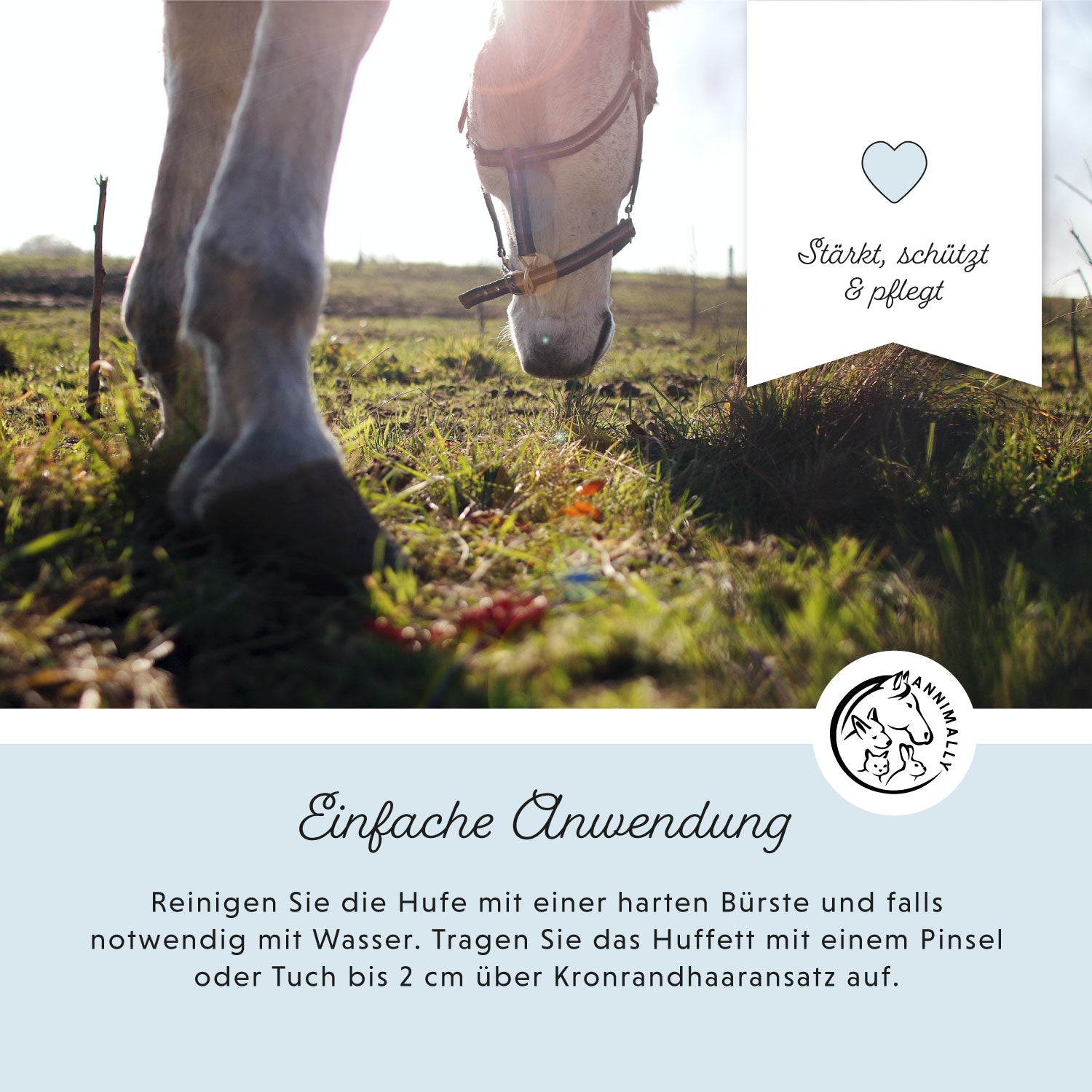 Anwendung der Hufsalbe