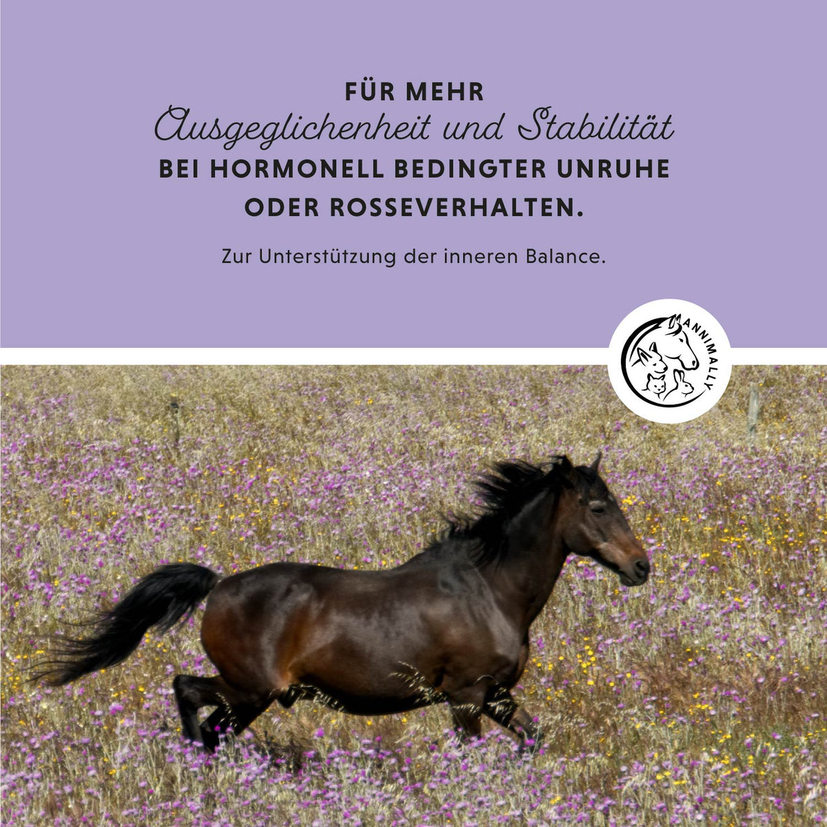 Mönchspfeffer Liquid für das hormonelle Gleichgewicht – Futterzusatz für Pferde