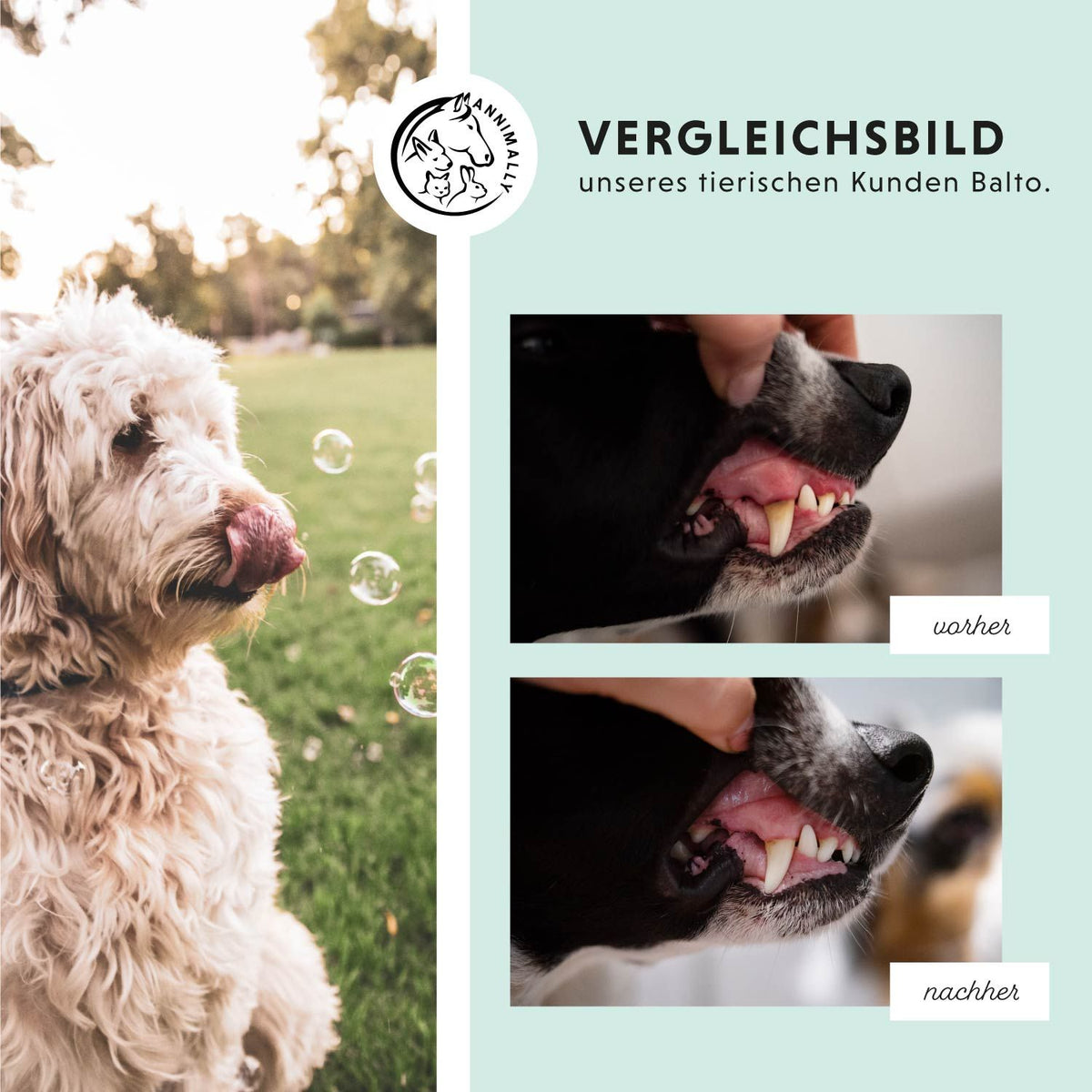 Oral Vital von Annimally für gesunde Zähne & frischen Atem – Nahrungsergänzungsmittel für Hunde