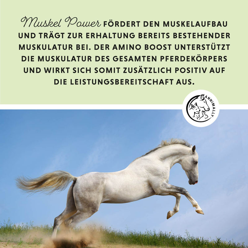 Muscle Power Powder