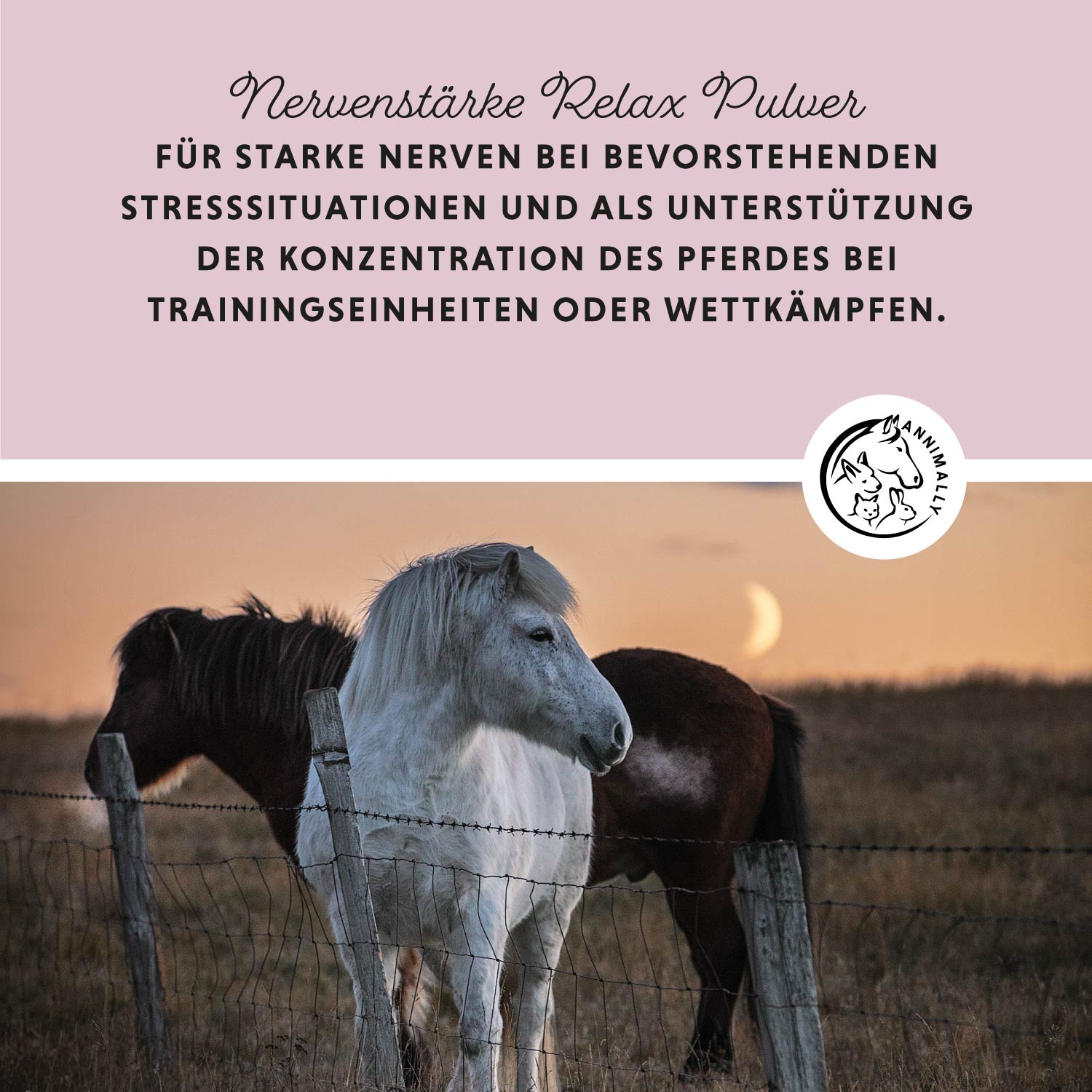 Nervenstärke - Relax Powder