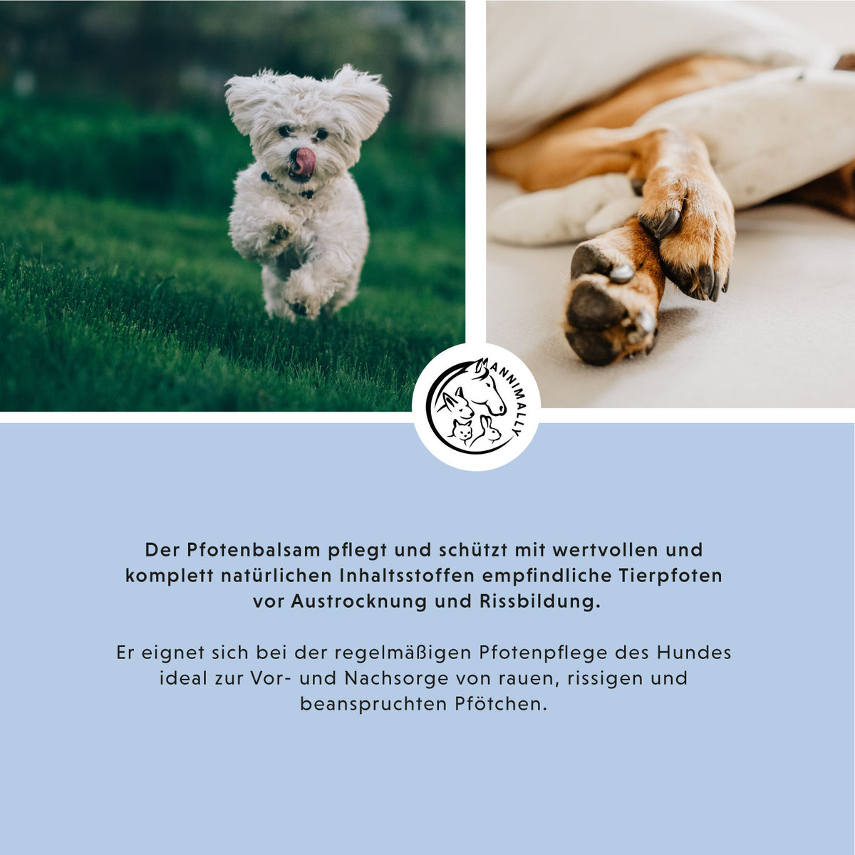 Pfotenbalsam – Tierpflege für Hunde & Katzen