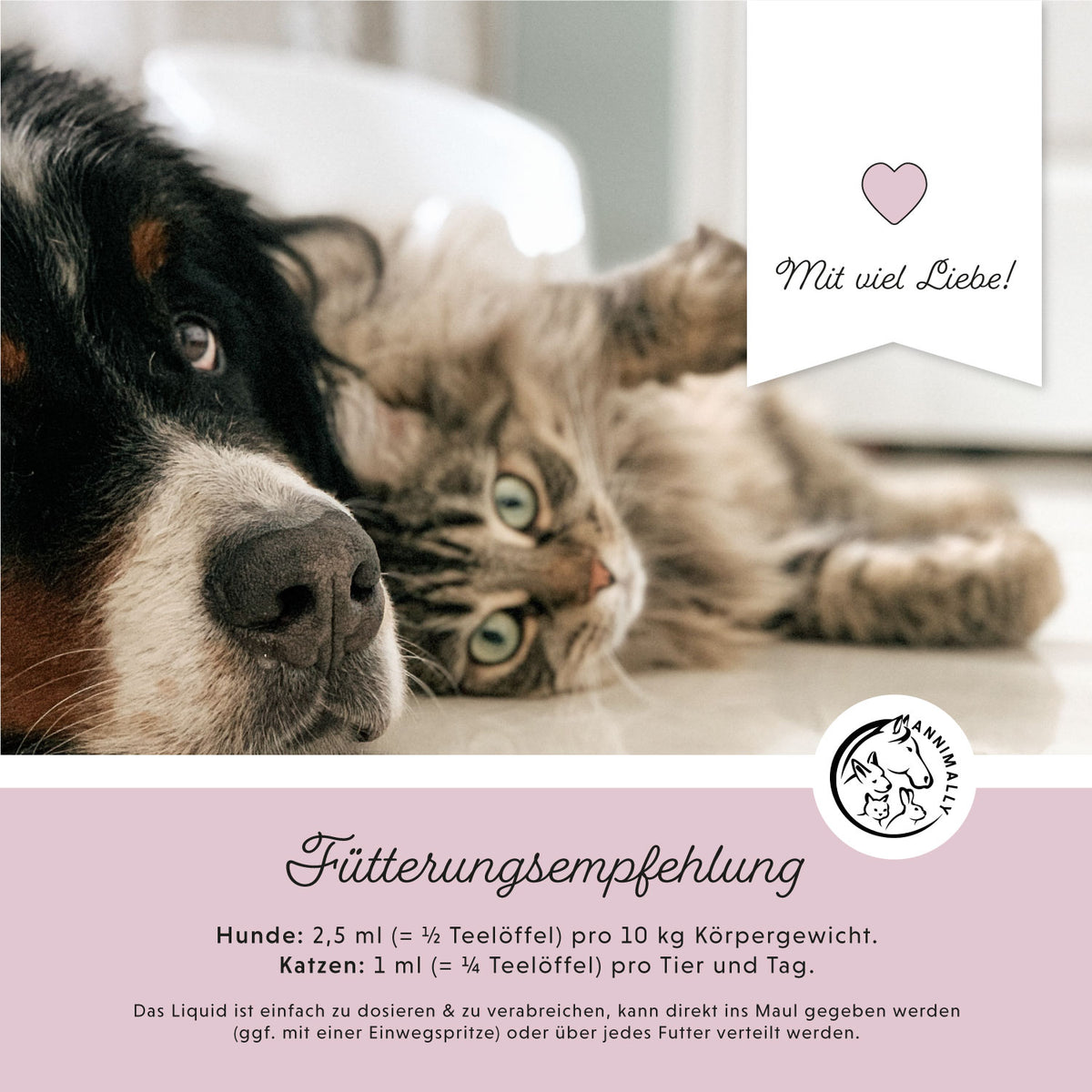 Relax-Box für Hunde zur natürlichen Beruhigung – Set mit Futterzusätzen von Annimally