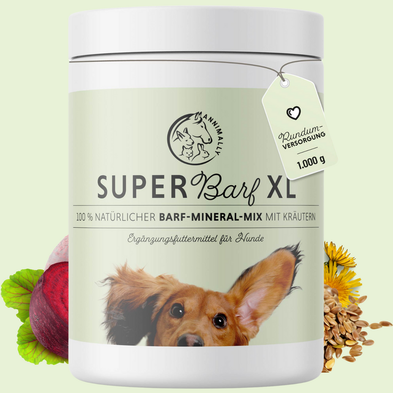 Raw feed Powder