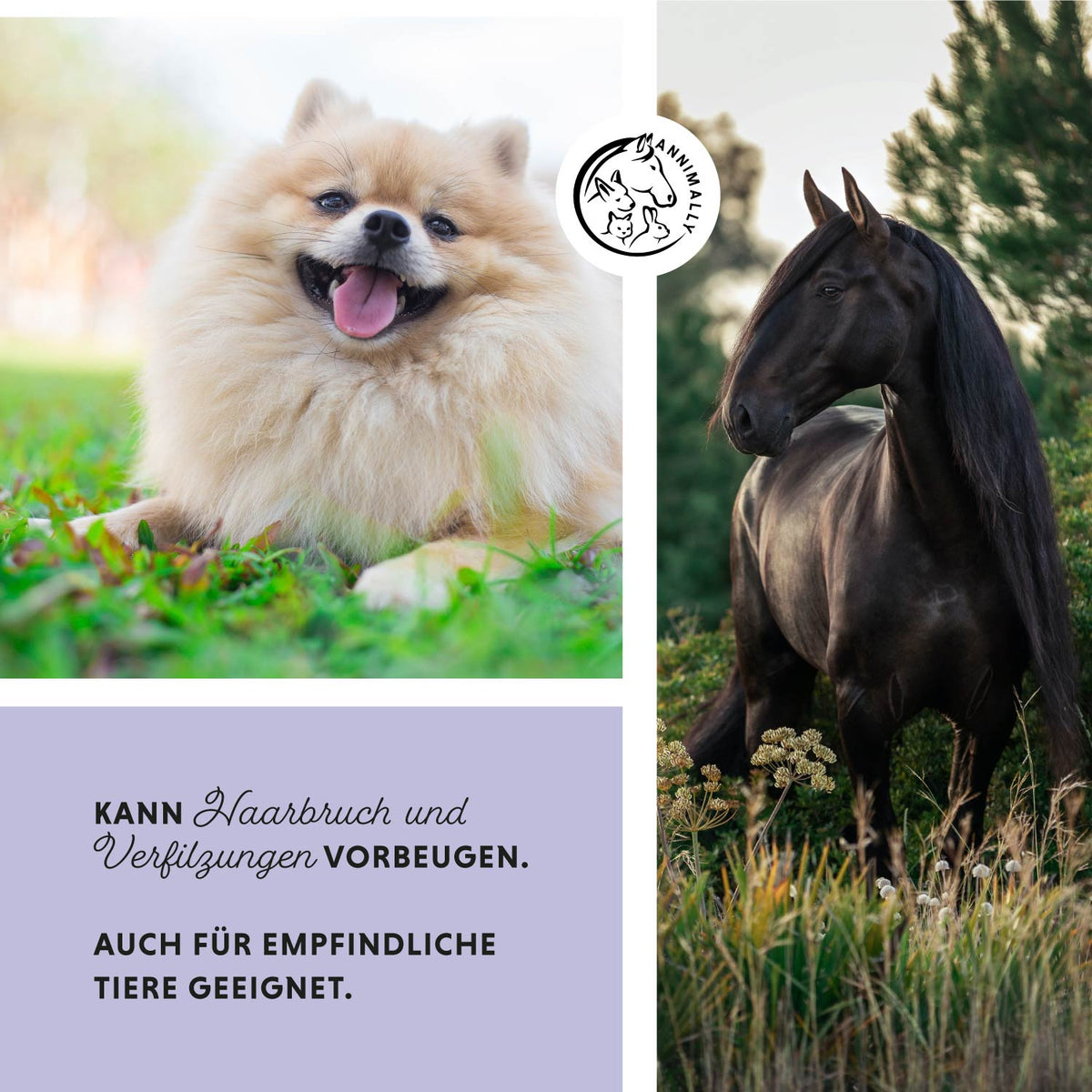 Tierpflege für Hunde & Pferde: Hair Care Pro für Fell & Mähne