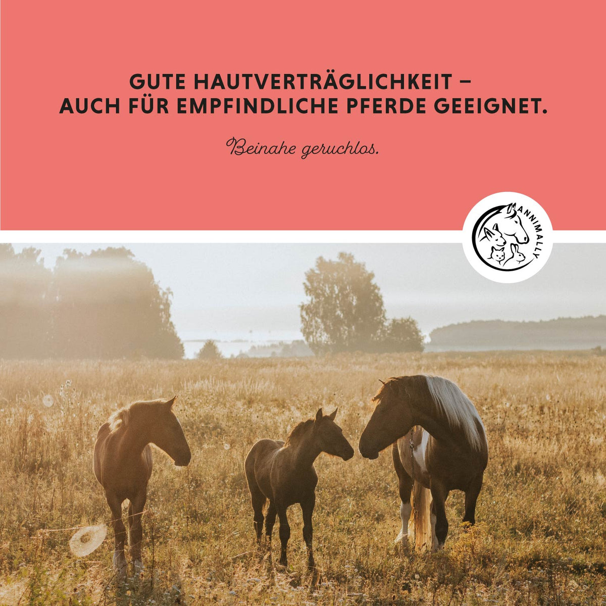 Tierpflege für Pferde: Insekten Stopp als Schutz vor Fliegen, Bremsen & Zecken