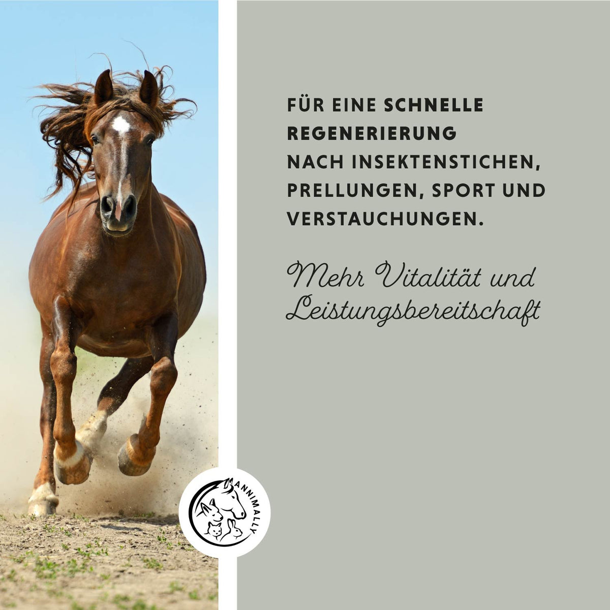 Tonerde Paste mit Mineralerde, Arnika & Kamille – Pflegeprodukt für Pferde